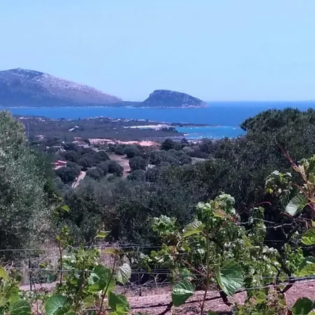 Maris Holiday home Olbia